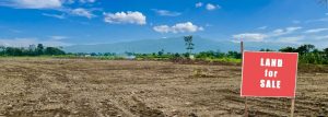 The Land Promises, the Businessman, and the RM1.57 Million Question